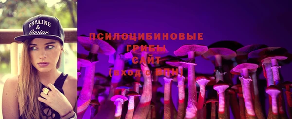амф Бугульма
