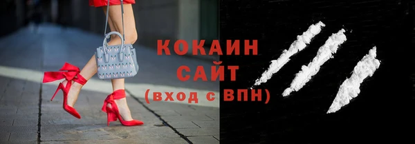 apvp Бородино