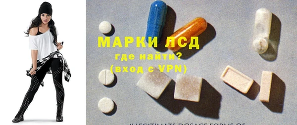 apvp Бородино