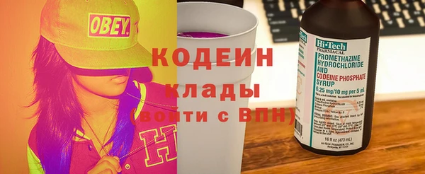apvp Бородино